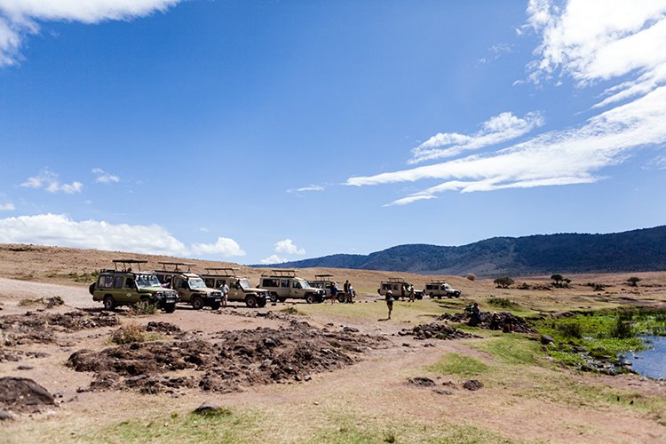 TZA ARU Ngorongoro 2016DEC26 Crater 091